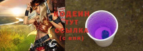 соль ск Пестово