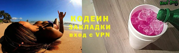 соль ск Пестово