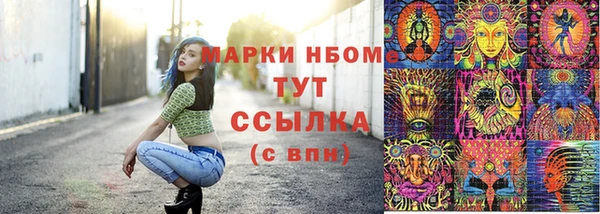 стаф Осташков