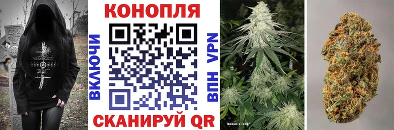 дарнет шоп  даркнет телеграм  Бошки марихуана Amnesia  Сергач 